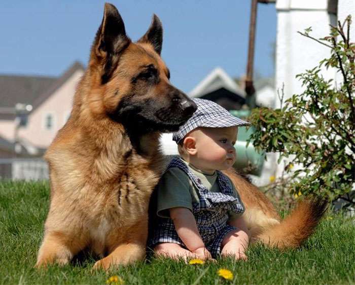 every-kids-need-pets-36__700