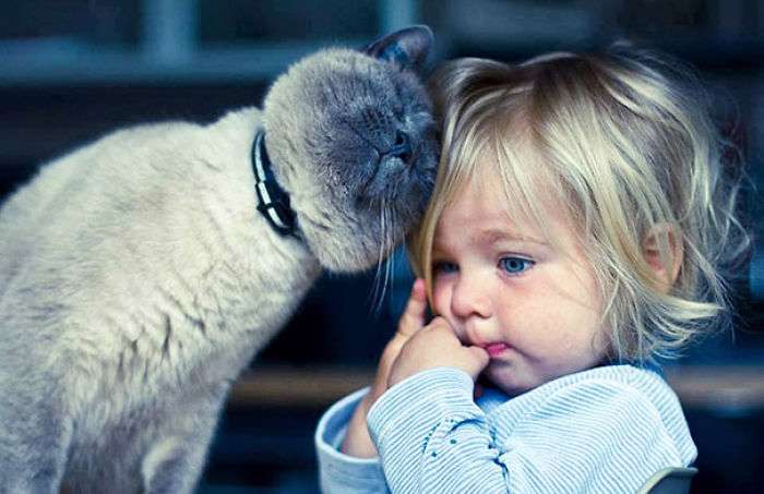 every-kids-need-pets-3__700