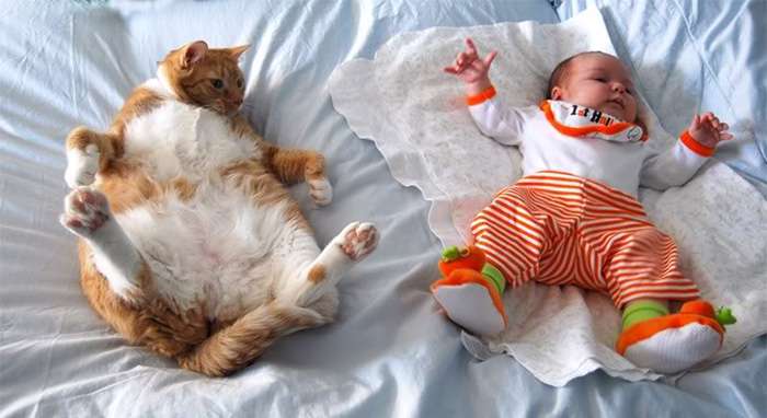 every-kids-need-pets__700