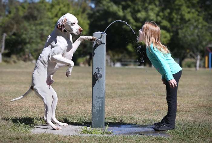 kids-with-pets-711__700