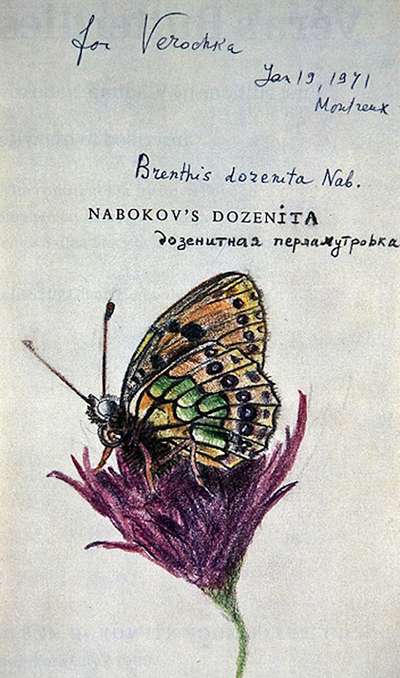 naboov