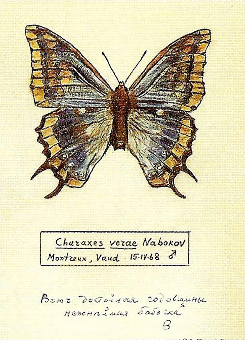 nabokov