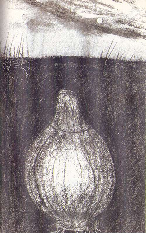 SylviaPlathic2
