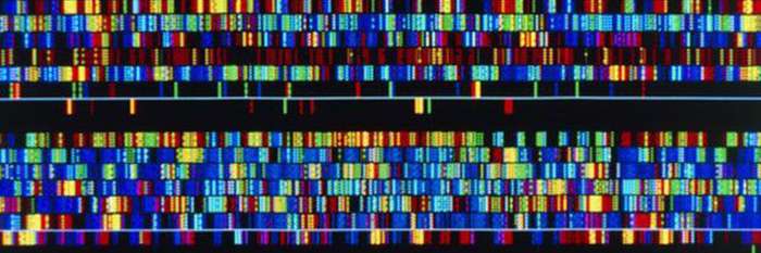 141204161837_genetic_africa_624x351__nocredit