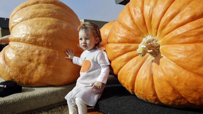 151013021329_pumpkin_contest_624x351_ap_nocredit
