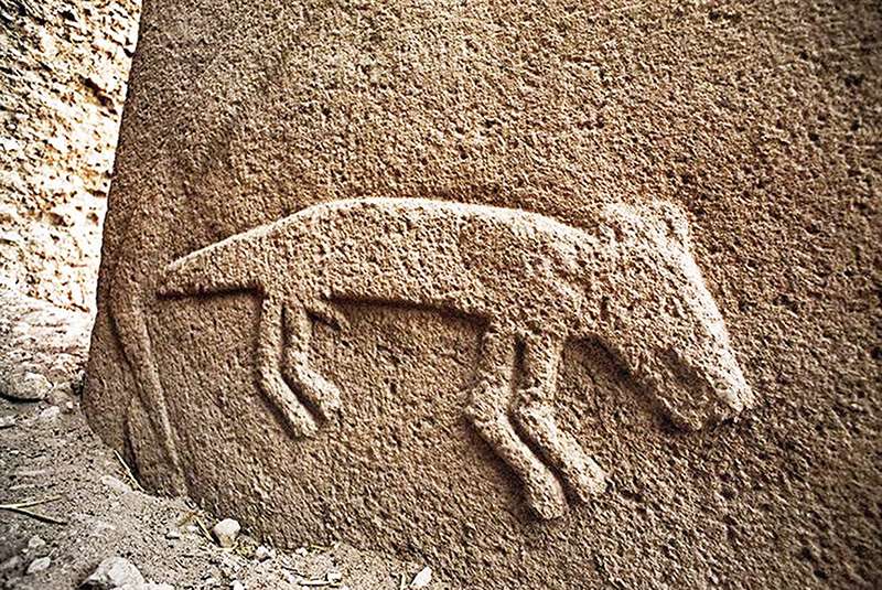 göbeklitee