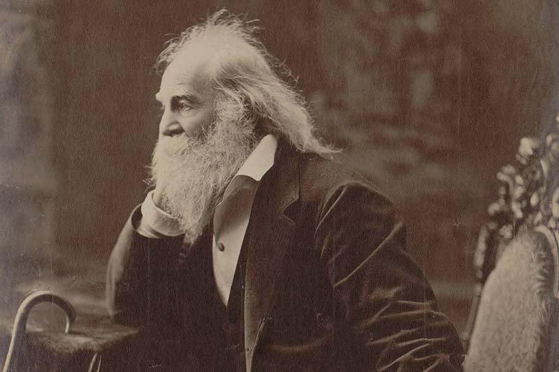 Walt Whitman edebiyat şiir