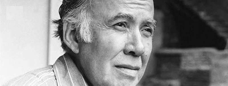 behçet necatigil
