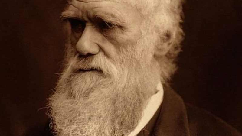 darwin