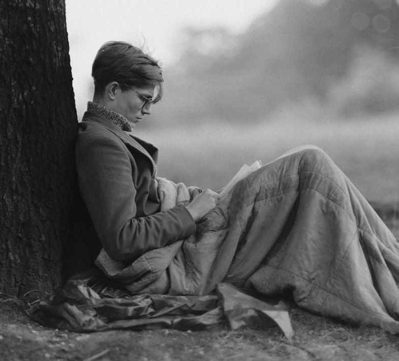 Colin Wilson Şen Filozof Oggito