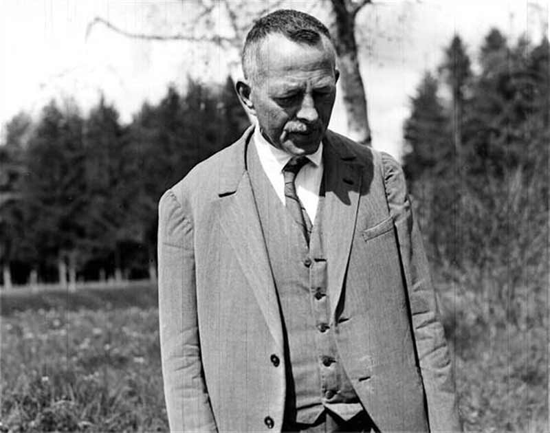 robert walser