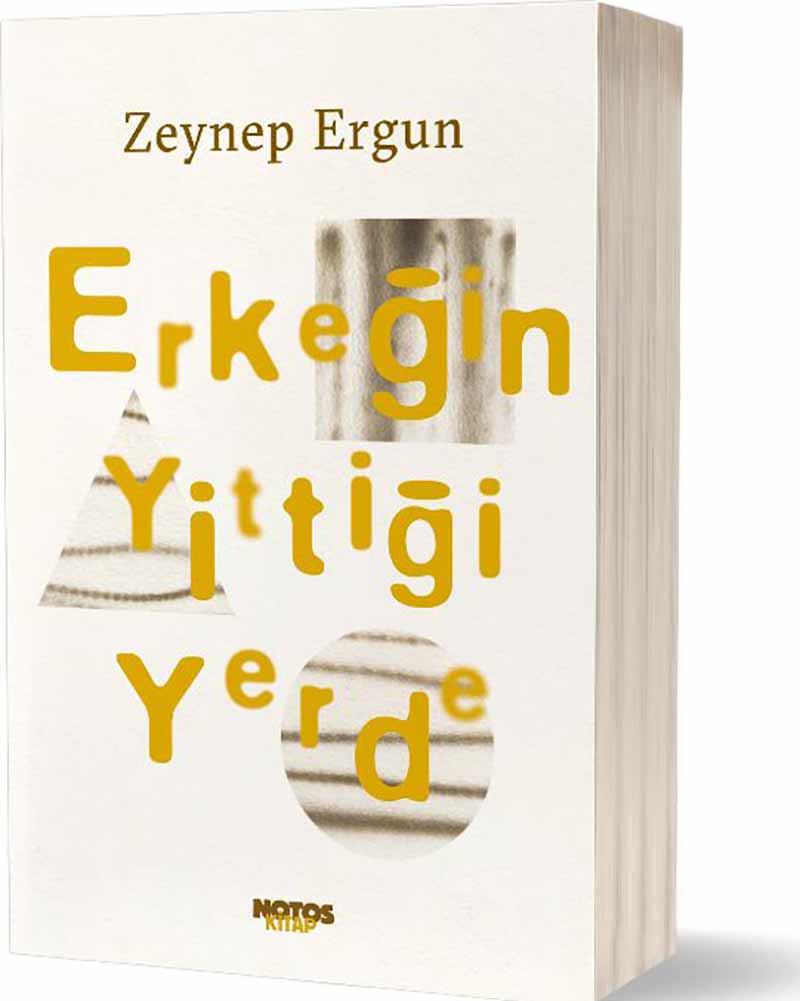 zeynep ergun