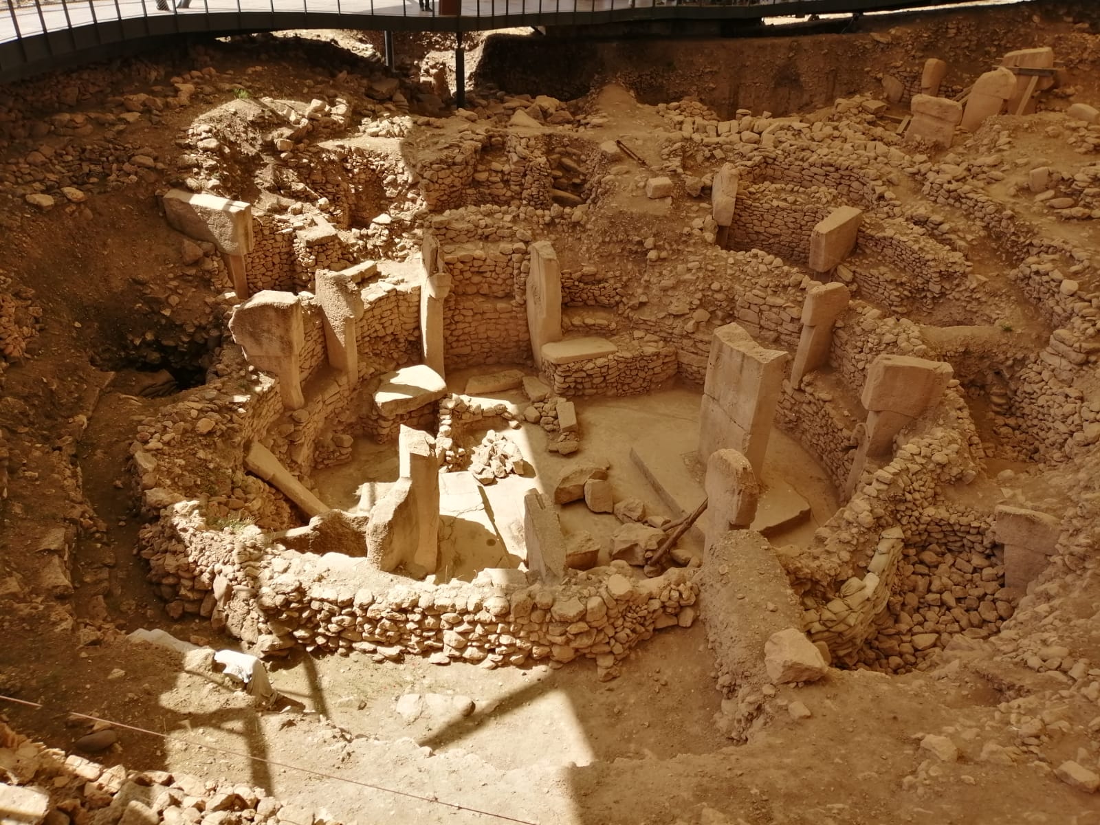 göktuğ halis