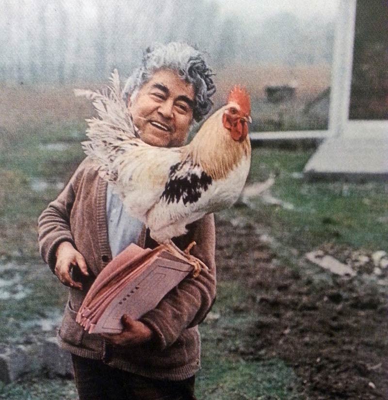 aziz nesin storytel
