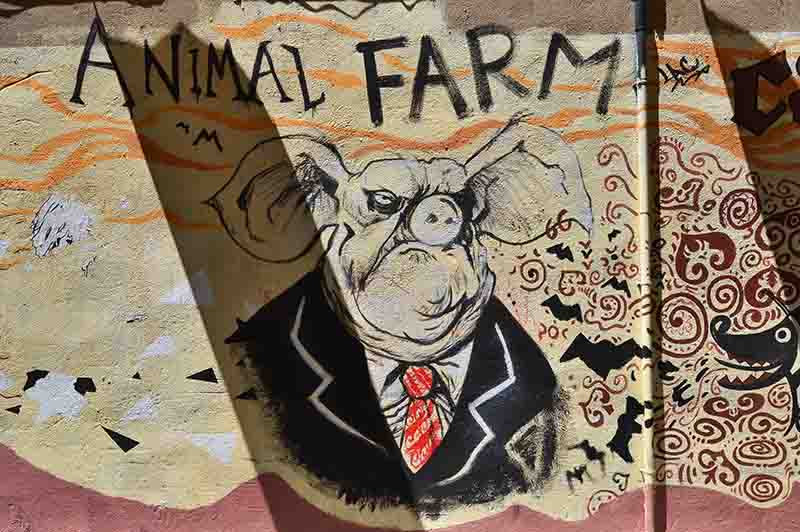 hayvan çiftliği animal farm