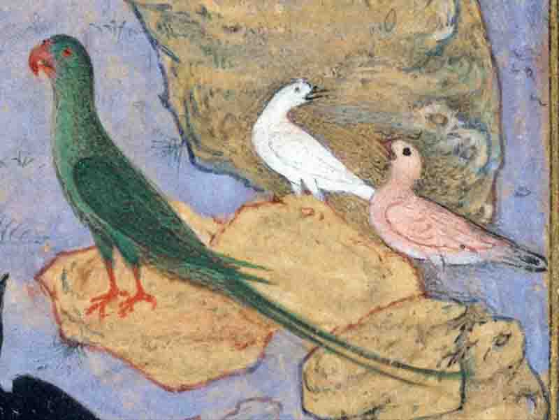 Mantık Al-Tayr Feridüddin Attar