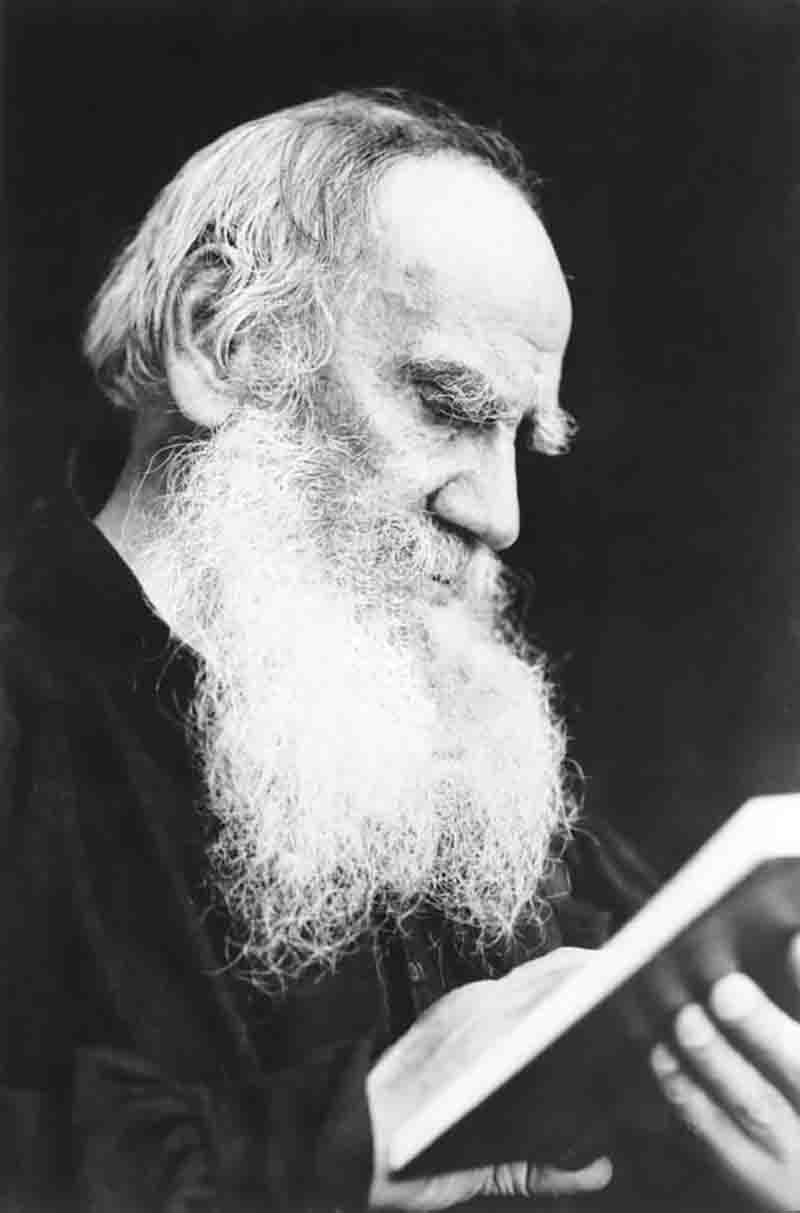 tolstoyoggito