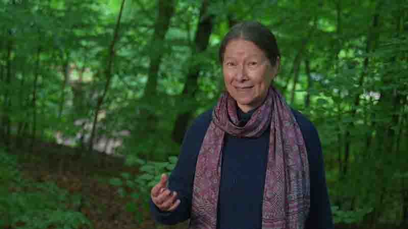 Anna Lowenhaupt Tsing