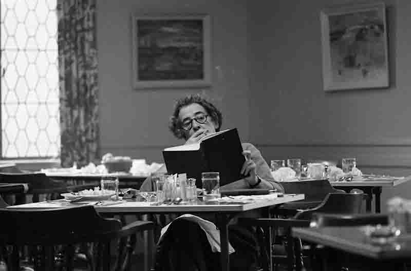 hanhah arendt